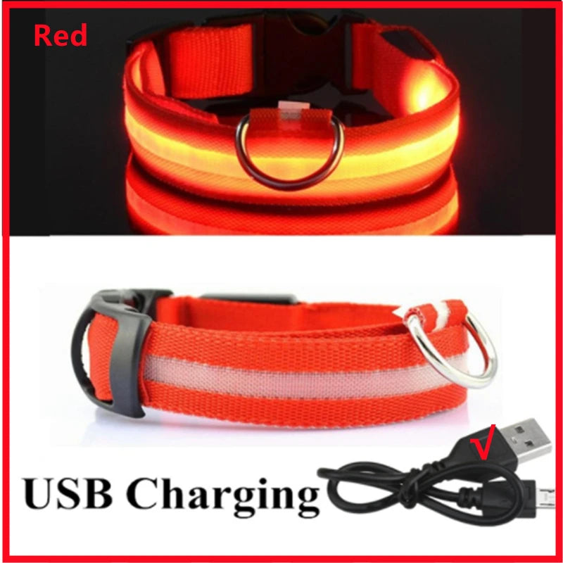 Veilleuse renard rechargeable entouré sur le bras