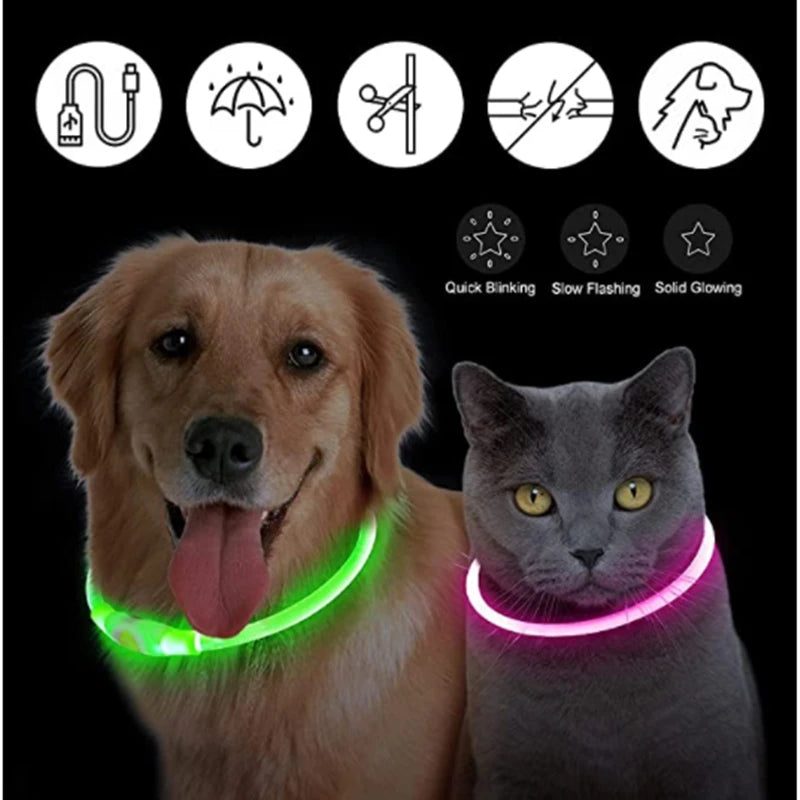 Veilleuse renard rechargeable collier de chats