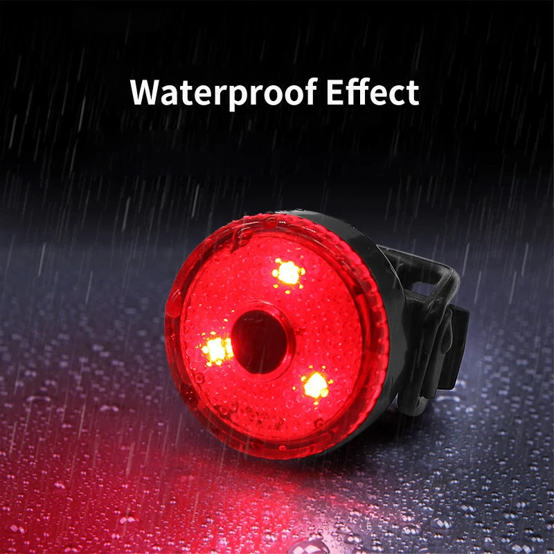Veilleuse Baladeuse Hérisson anti pluie