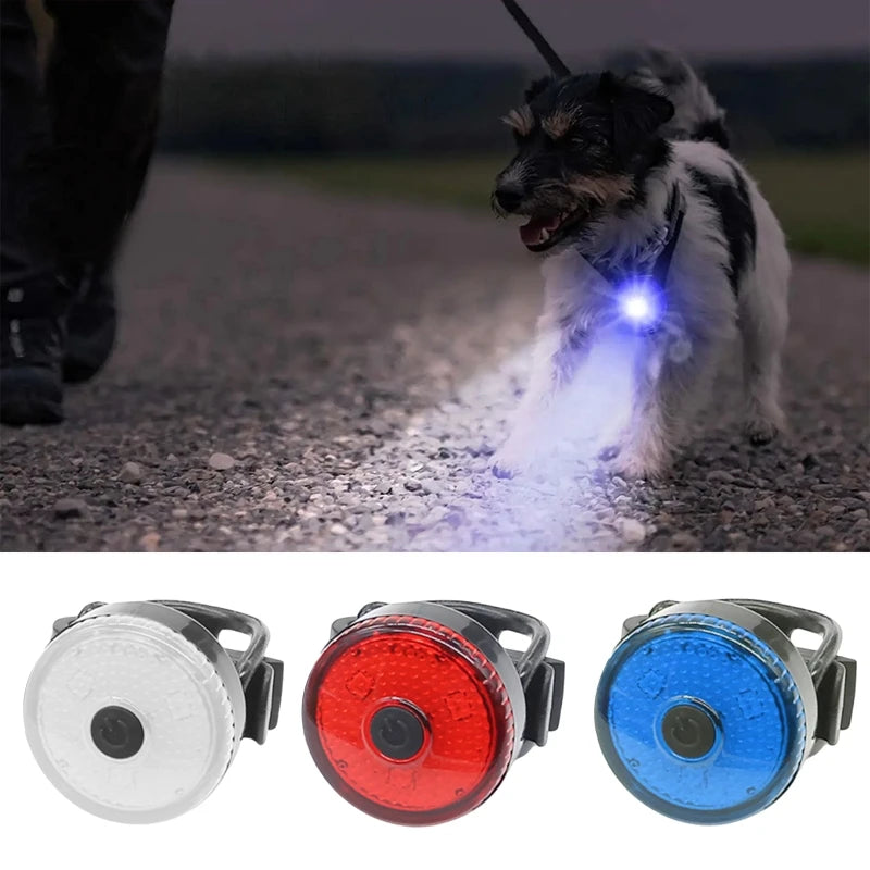 Veilleuse Baladeuse Hérisson pour un chat