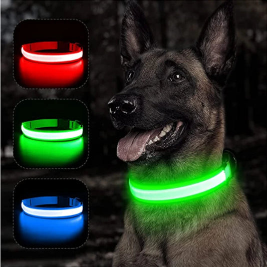 Veilleuse renard rechargeable colliers de chiens 